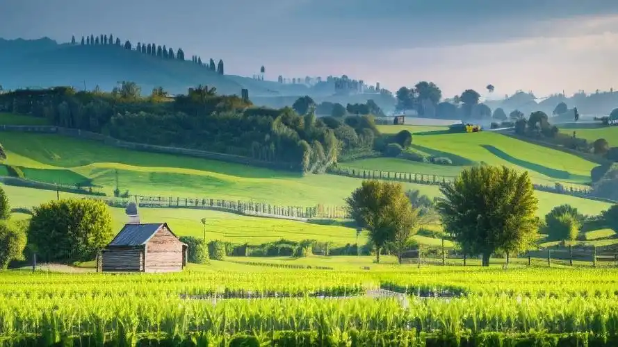 Farm nature view